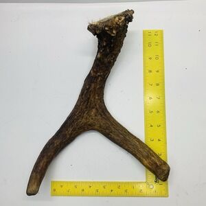 Naturally Shed Wild Moose Antler Horn Knife Carving Dog Chew Taxidermy Craft DIY